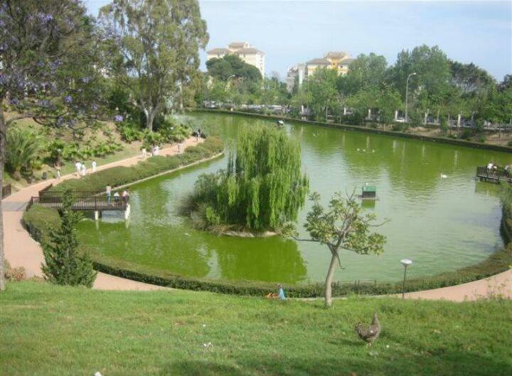 Estudio Sagitario Benalmádena Exteriör bild